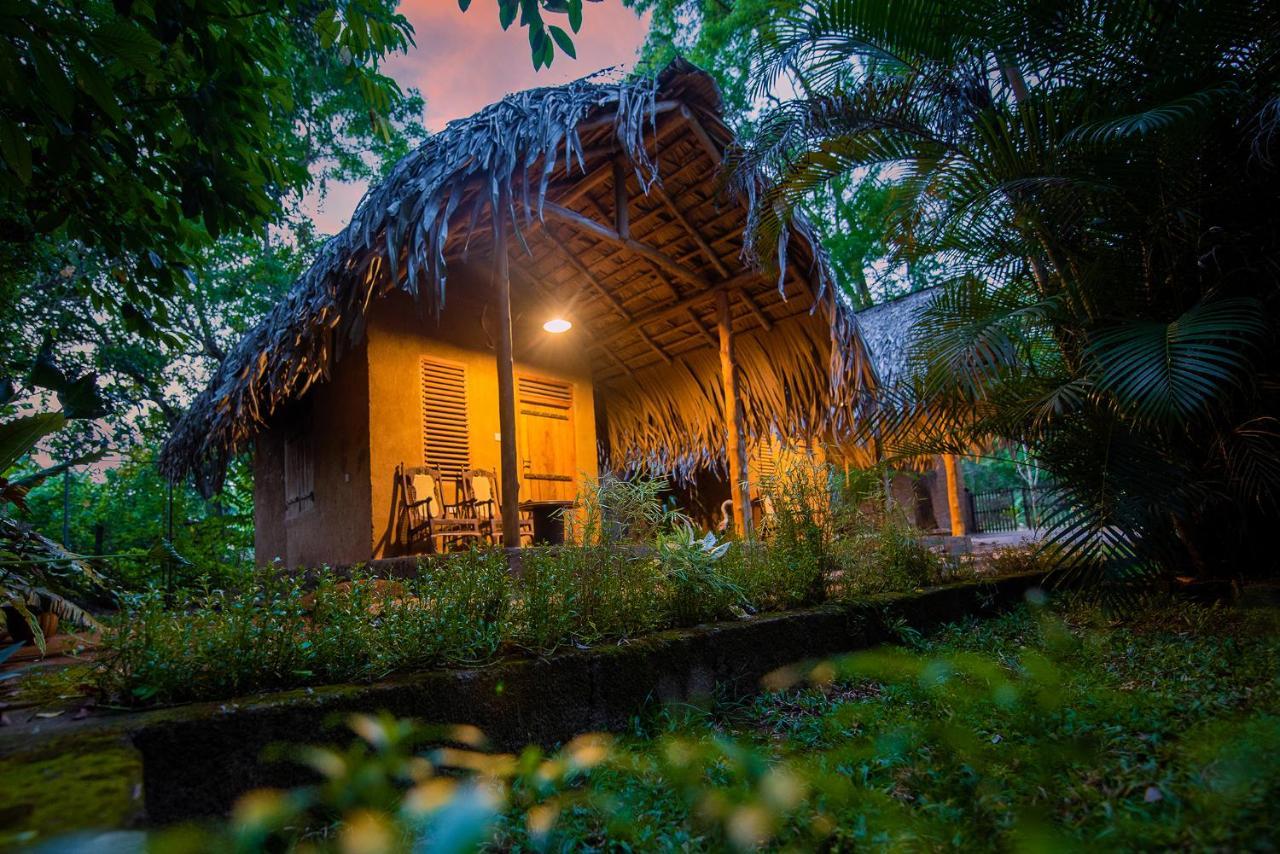 Private Organic House Bed & Breakfast Udawalawe Dış mekan fotoğraf